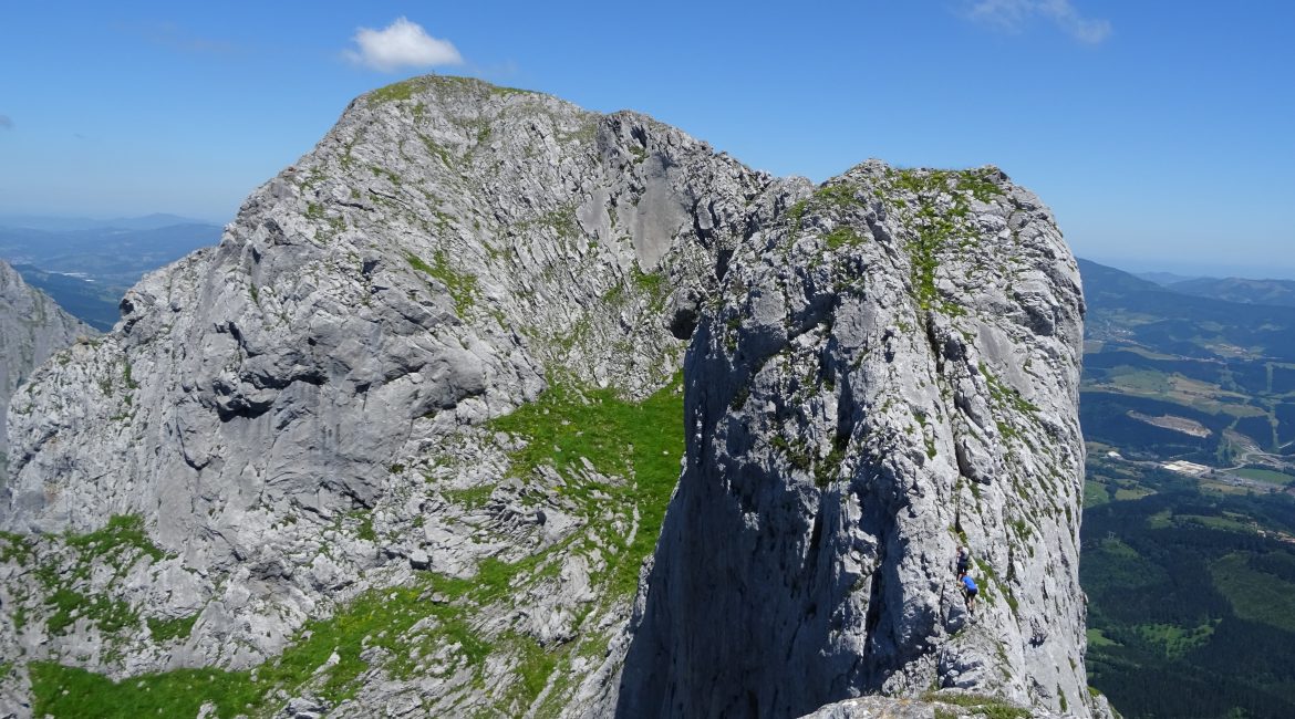 DSC00311